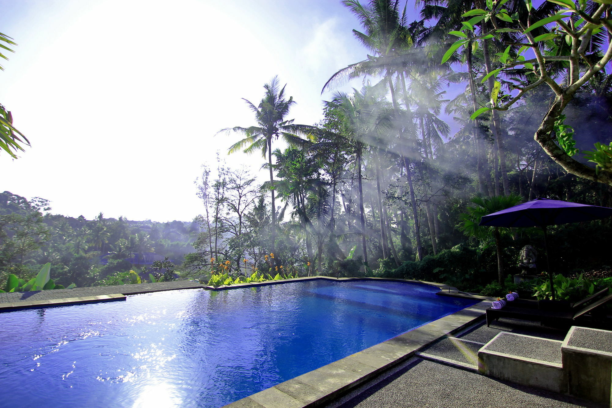 Villa Capung Mas Ubud Bagian luar foto
